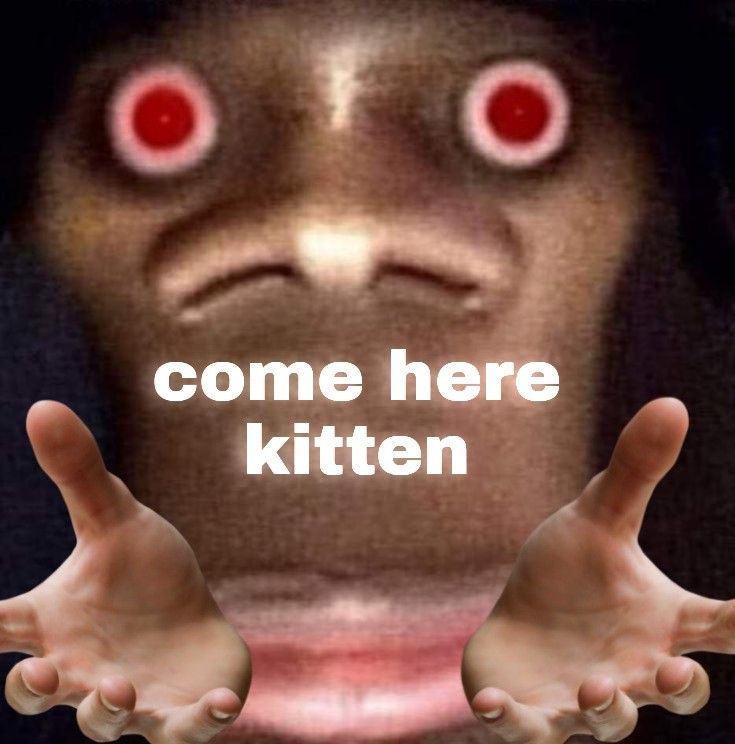 My Kitten